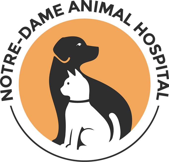 Notre-Dame Animal Hospital logo