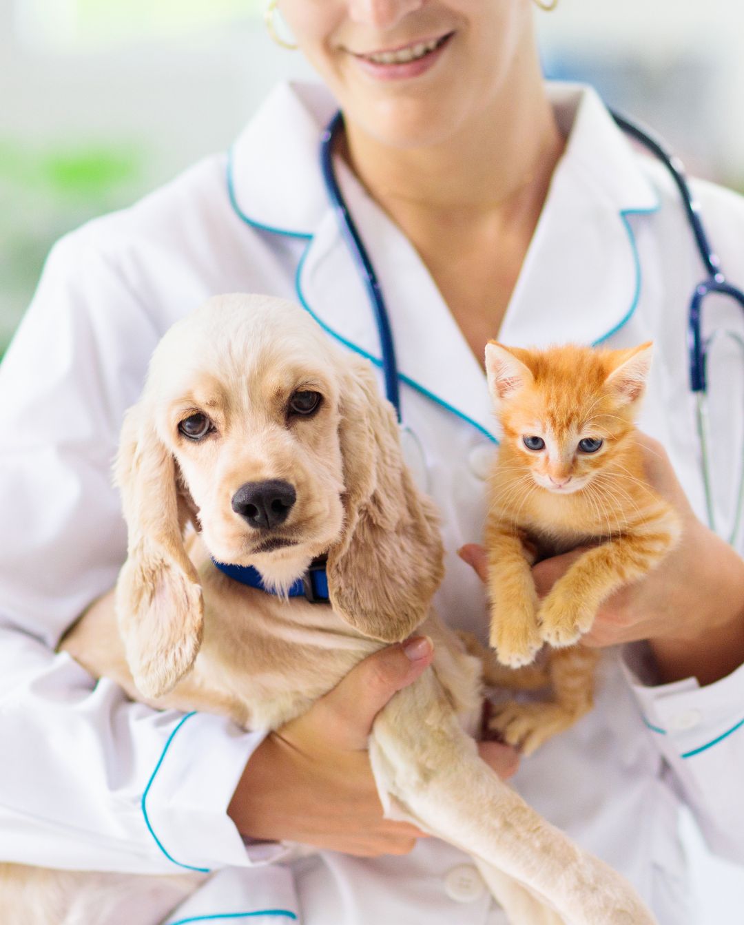 a person in a white lab coat holding a dog and an orange kitten